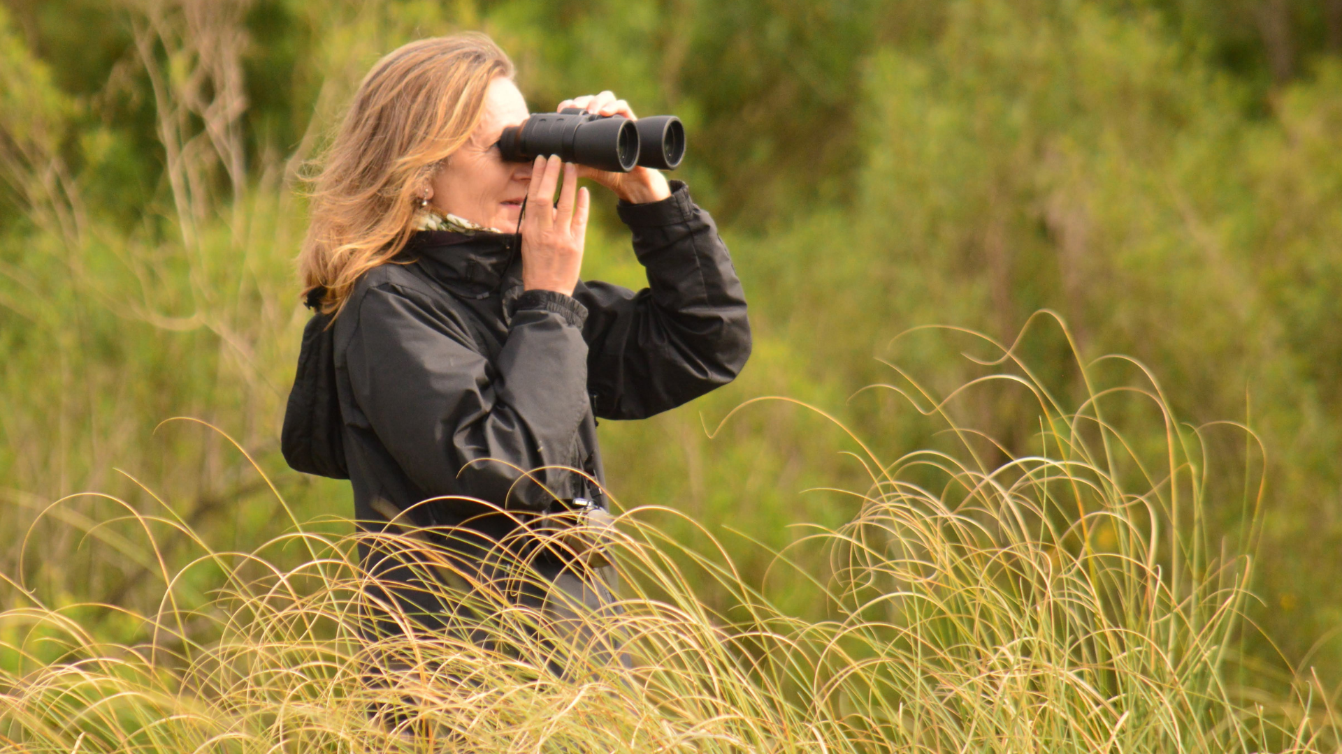 Birdwatching en Entre Ríos durante el October Big Day
