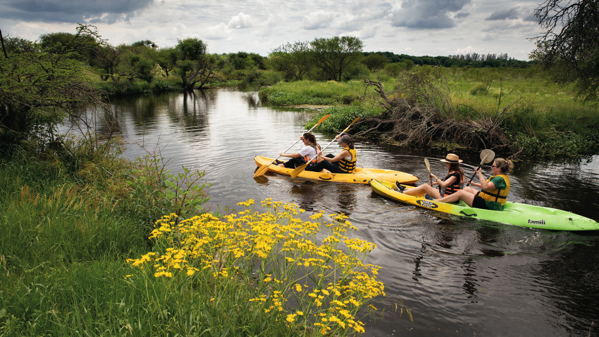 Kayak y avistaje de aves en el delta de Entre Ríos