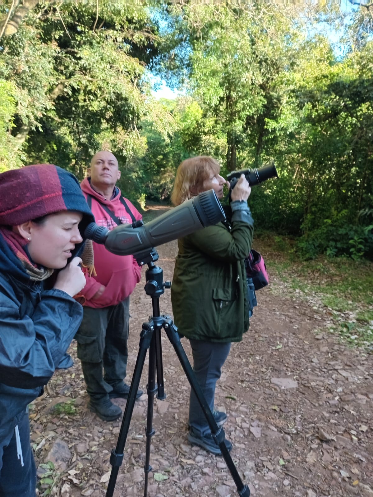 Observaci&oacute;n de aves en la Selva Paranaense de Misiones, Argentina &ndash; viaje de birdwatching
