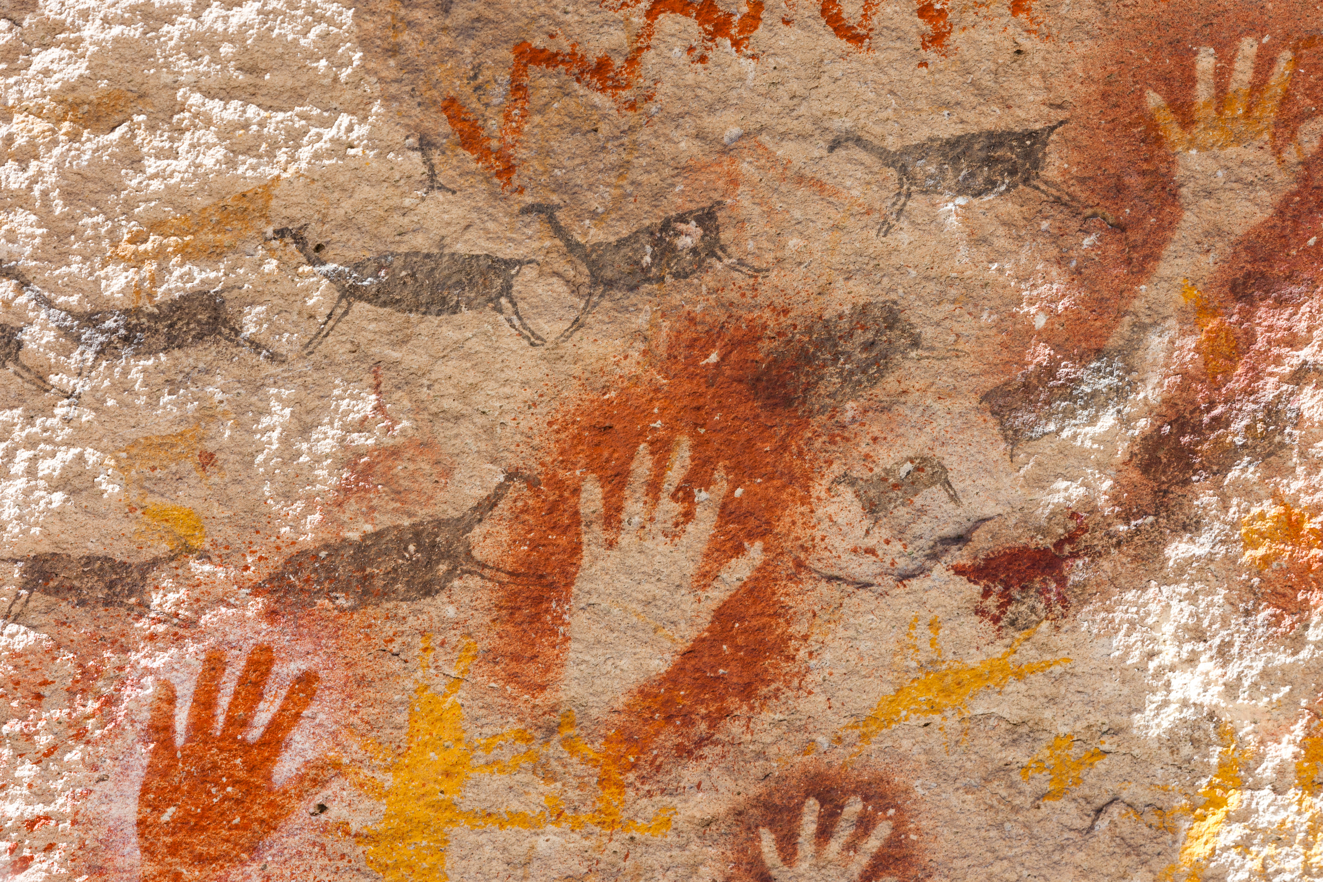 Pinturas rupestres de manos en Cueva de las Manos dentro del Ca&ntilde;ad&oacute;n del R&iacute;o Pinturas