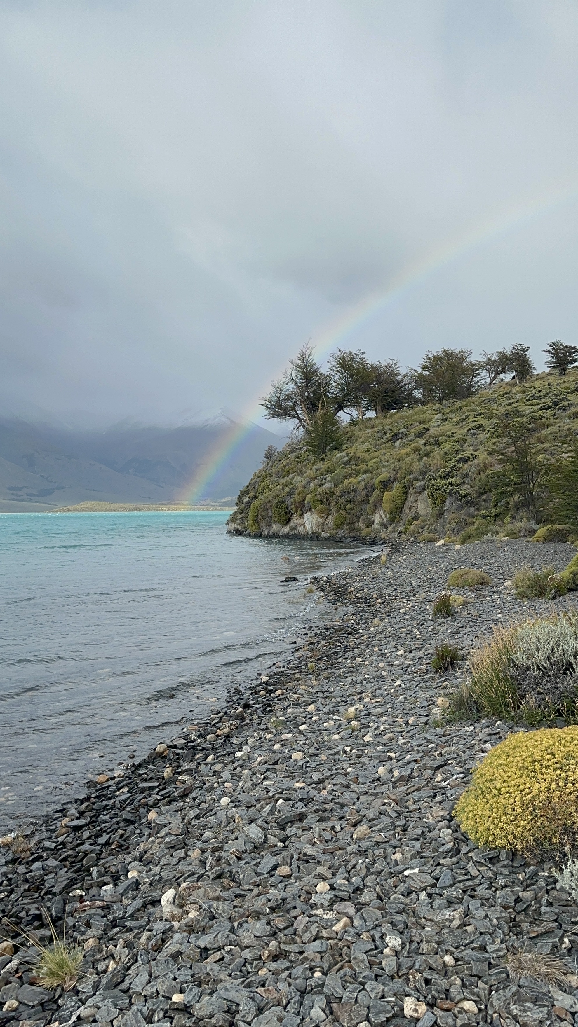 Estancia La Angostura, día de campo y actividad en bicicleta cerca de El Calafate