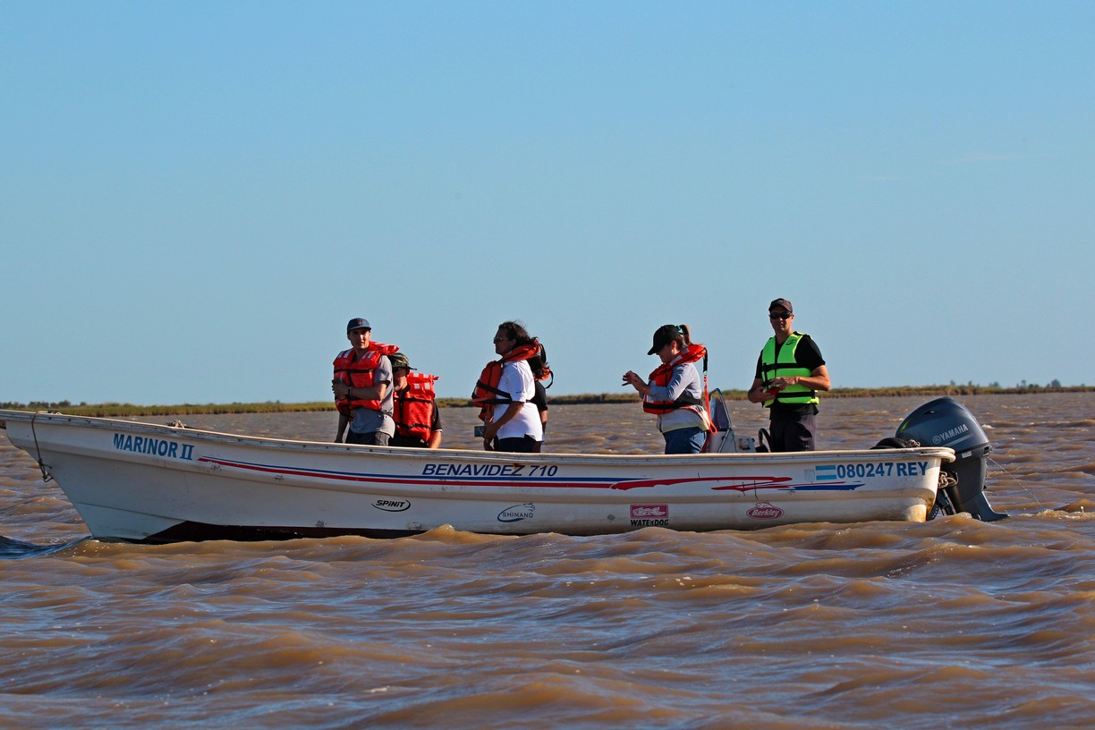 Bah&iacute;a de Samboromb&oacute;n, humedales costeros del litoral bonaerense