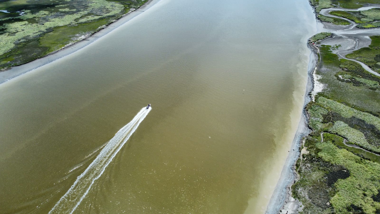 Samboromb&oacute;n Bay, coastal wetlands of Buenos Aires Province