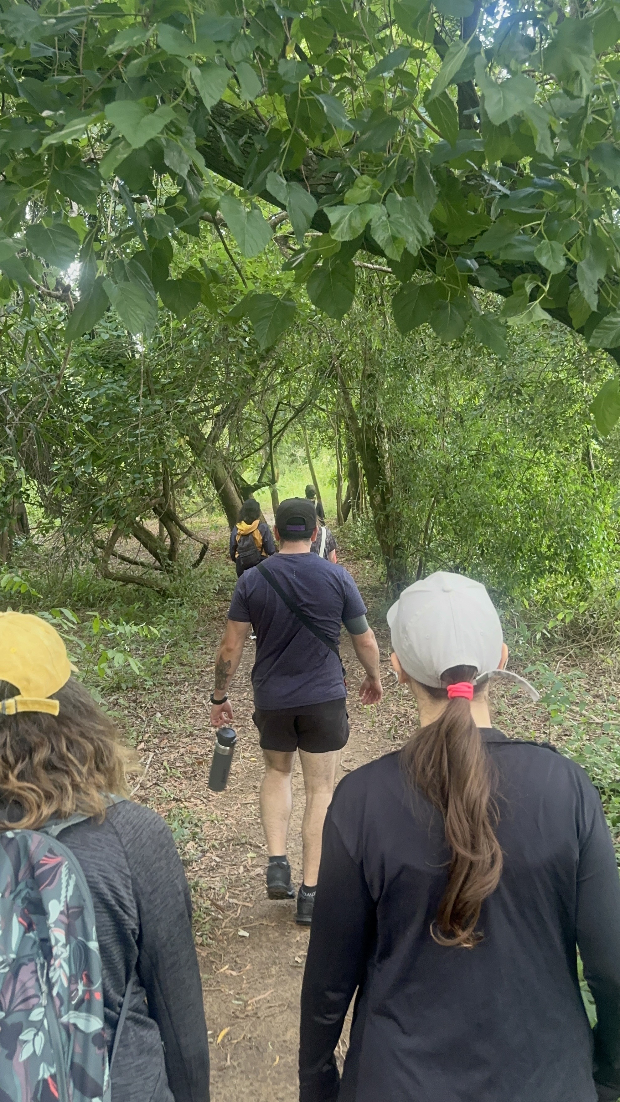 Caminhada nas ilhas do Rio Uruguai