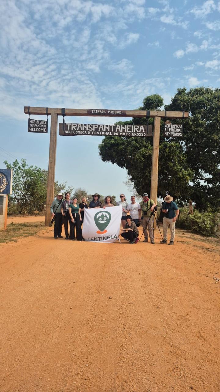 On&ccedil;a-pintada no Pantanal