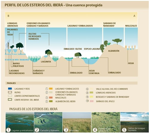 Humedales y suelos del Parque Nacional Esteros del Iberá