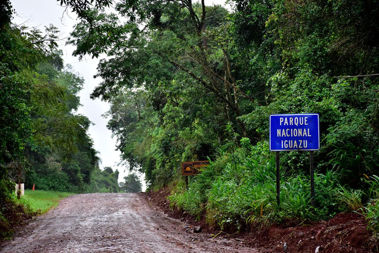 Landscape of Iguaz&uacute; National Park